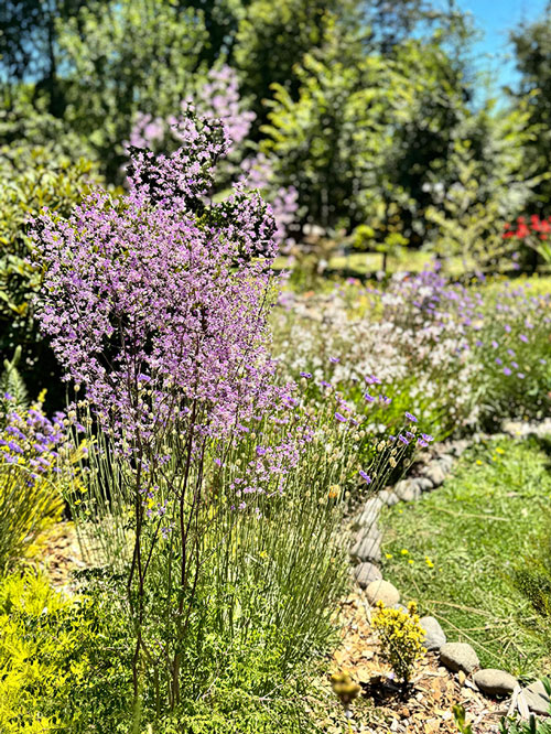 Vivero Jardin Las Quemas 12