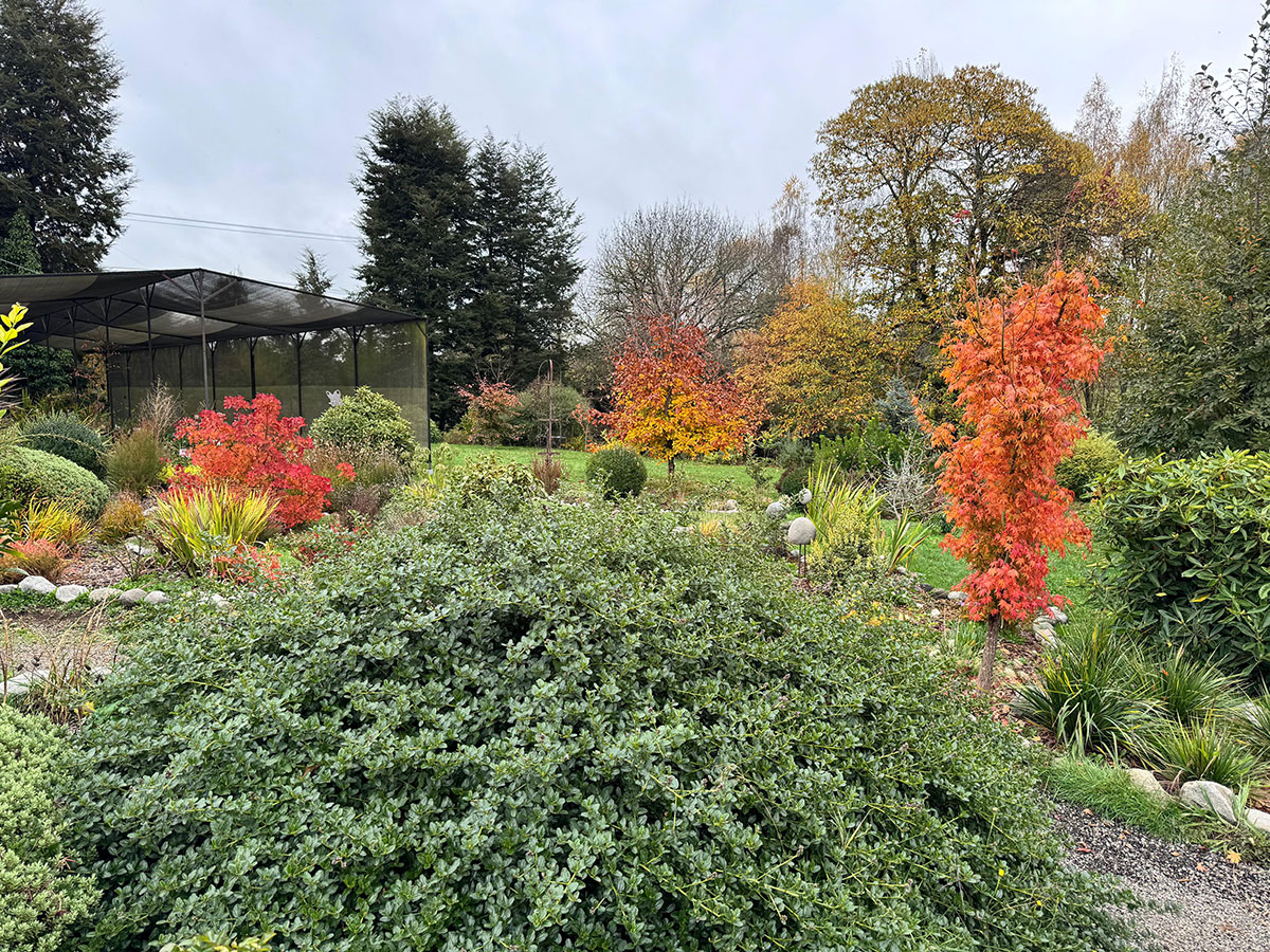 Vivero Jardín Las Quemas
